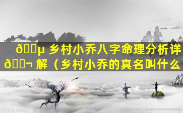 🐵 乡村小乔八字命理分析详 🐬 解（乡村小乔的真名叫什么）